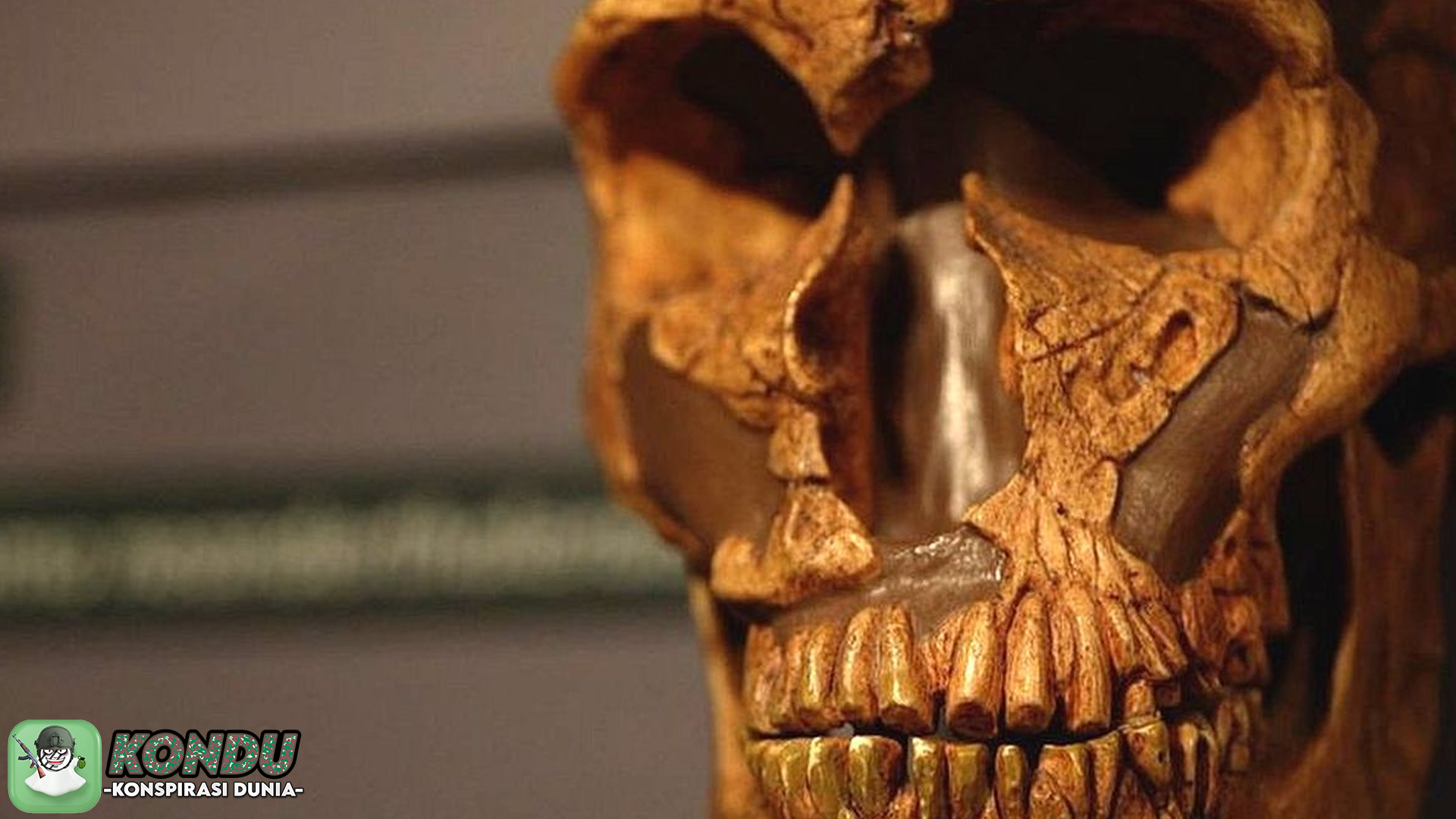 Bukti Baru Bongkar Konspirasi: Neanderthal Tak Punah Manusia
