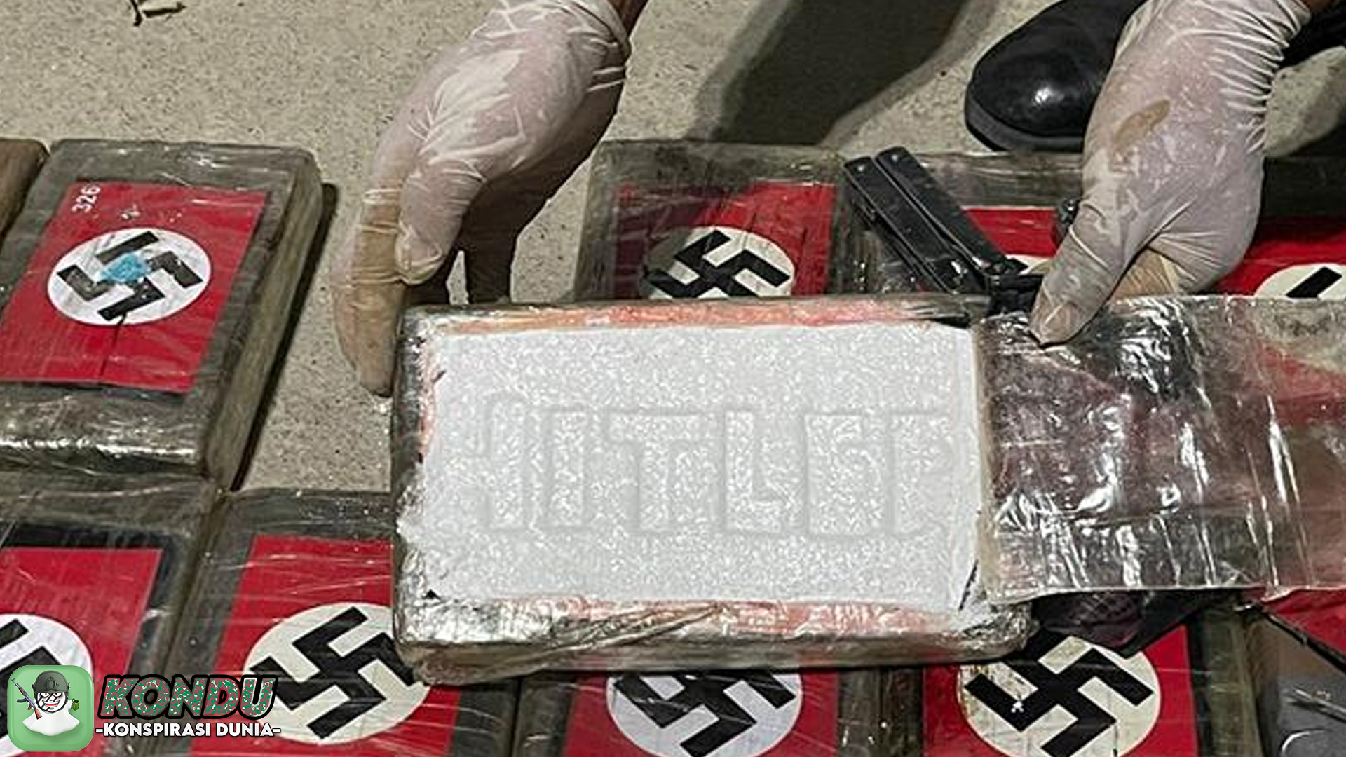 Konspirasi Kematian Hitler: Bukti yang Mengarah ke Indonesia