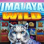 Bongkar Jejak Gacor Himalayan Wild Ada di Slot Rtp8000