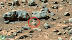 Mars menyimpan 5 Rahasia: Fosil Ikan dan Ahli Teori Konspirasi