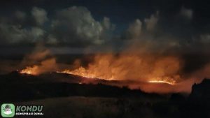 Teori Konspirasi Kebakaran Hutan Maui Hawaii: 3 Fakta Menarik