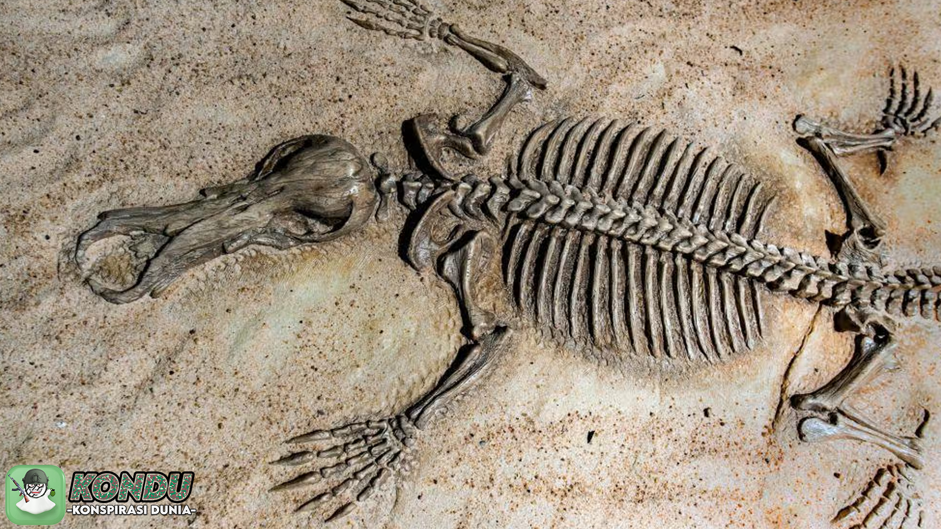 Intip 4 Teori Konspirasi Paling Populer di Dunia Dinosaurus