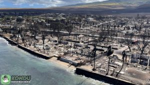 Kebakaran Hutan Hawaii: 80 Korban Tewas & Teori Konspirasi
