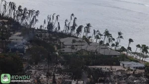 Konspirasi Kebakaran Hawaii: 5 Hal yang Wajib Kamu Pahami