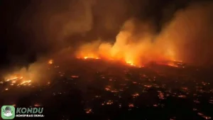 Hawaii Terbakar, 4 Lokasi Hancur & Isu Konspirasi Jadi Sorotan