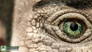 Konspirasi Gila Manusia Kadal, Koneksi dengan 5 Peristiwa Besar Sejarah