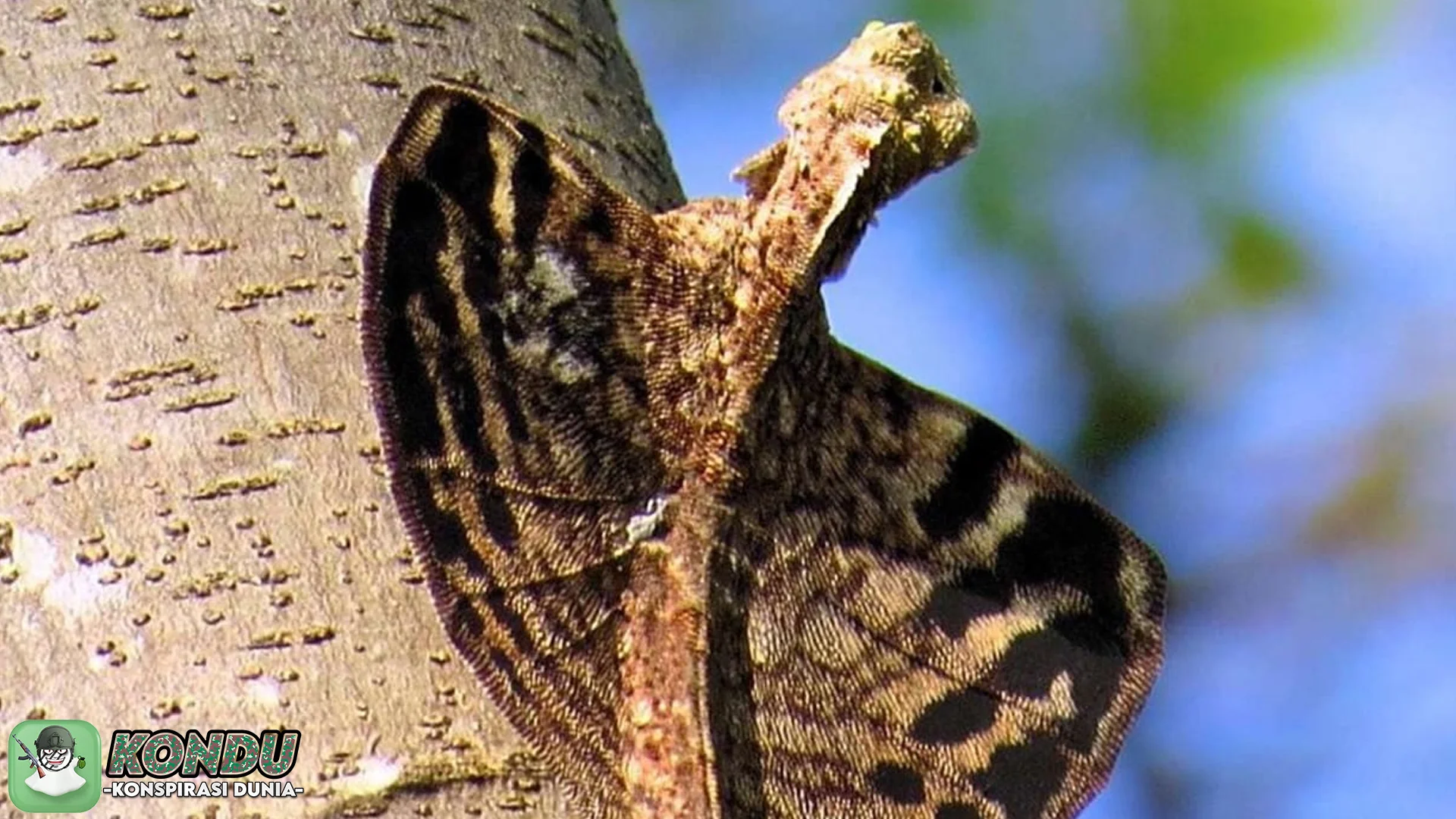 Rahasia Terungkap! 4 Bukti Konspirasi Reptil Kaum Elit yang Mengejutkan