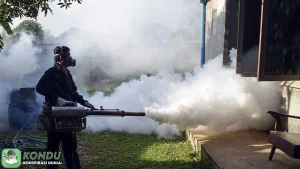 Isu Konspirasi dan 4 Fakta Penting Pelepasan Nyamuk Wolbachia Bali