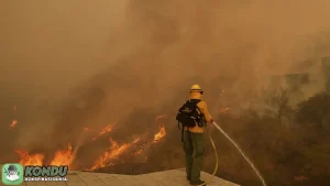 Konspirasi Kebakaran California 5 Bukti Penting Tata Kota Menantang Alam