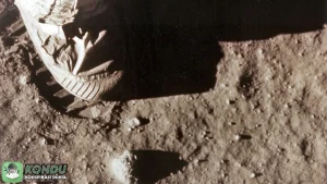 Foto Apollo 11 yang Bubarkan Teori Konspirasi Heboh