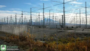 4 Teori Konspirasi Heboh Mengganggu Pemberitaan Cuaca AS